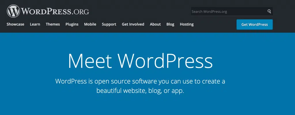 Wordpress Preview